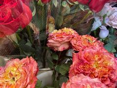 -双季花艺园艺市场(浦东店)