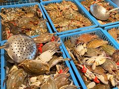 -青岛蓝海御华大饭店（金沙滩店）·蓝钻国际美食自助百汇