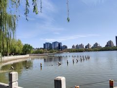 -莲花池公园