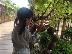 -呀路古热带植物园
