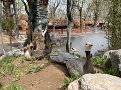 -北京野生动物园