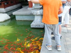 -西安华清御汤酒店