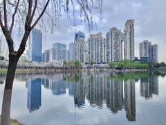 -西北湖绿化广场