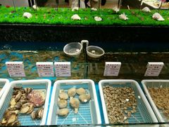 -宝燕壹号(徐汇店)