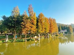 -顺峰山公园
