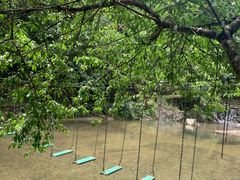 -磐安舞龙峡景区