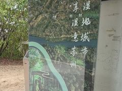 -同里国家湿地公园