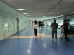 -重庆江北国际机场-T2航站楼