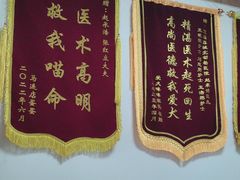 -宠福鑫动物医院(城北分院)