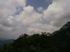 -王顺山国家森林公园