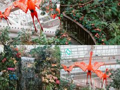 -正佳雨林生态植物园