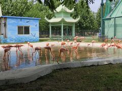 -秦皇岛野生动物园