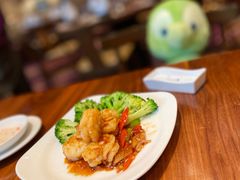 -云龙轩(迪士尼探索家度假酒店)