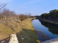 -上海海湾国家森林公园