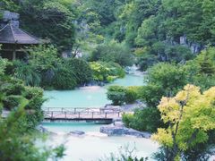 -吴淞炮台湾湿地森林公园烧烤区