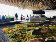 -Seesaw Coffee(朝阳大悦城店)