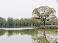 -将府公园