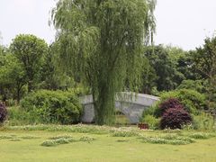 -鹅湖玫瑰文化园