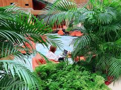 -北京望京凯悦酒店The Lounge大堂酒廊