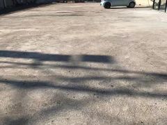 -大虎浑锅
