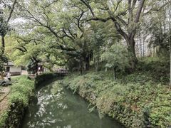 -古堰画乡景区
