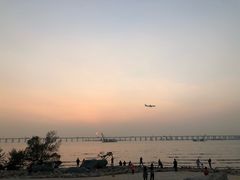 -宝安西湾红树林湿地公园