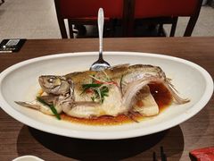 -大中华酒楼·主席武昌鱼·武汉美食地标(江汉路步行街店)