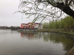 -上海长兴岛郊野公园