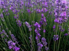 景点-渔岛海洋度假区