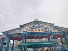 -海合安成都极地海洋公园