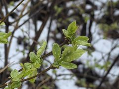 -必胜客(栖乐荟店)