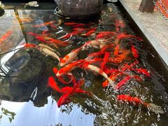 -野蔓果·山野菜(西湖景区·龙井茶田店)