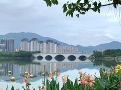 -飞来湖湿地公园