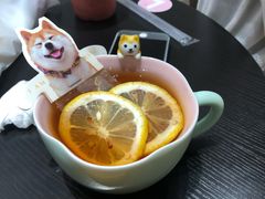 -逗柴咖啡屋·狗咖猫咖宠物桌游