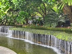 -新加坡植物园