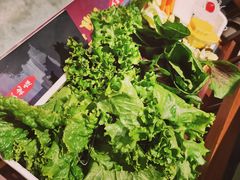 -东来顺铜锅炭火涮肉(上地华联店)