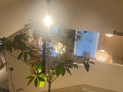 -J's Cafe Lab