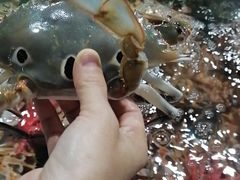 -四川人郑霞海鲜