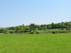 -宜兴龙背山森林公园