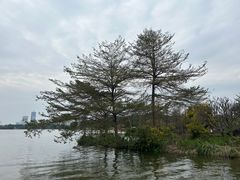 -海珠湖公园