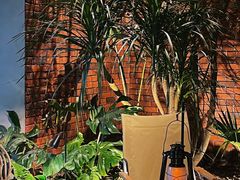 -J Create城市露营咖啡·简餐·宠物(上海动物园店)