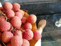 -广东温泉宾馆