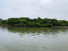 -东寨港红树林旅游区