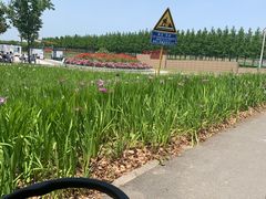 -嘉北郊野公园