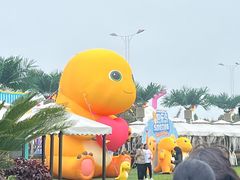 -秦皇岛乐岛海洋王国