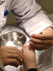 -北京新世纪儿童医院