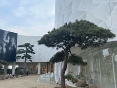 -罗红摄影艺术馆