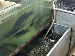 -大理.老字号渝记酸萝卜乌鱼(古城总店)