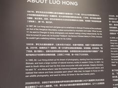 -罗红摄影艺术馆