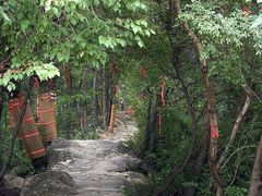 -少华山国家森林公园